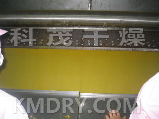 轉(zhuǎn)鼓干燥機(jī)用于紅薯粉干燥 轉(zhuǎn)鼓干燥機(jī)用于紅薯粉干燥-現(xiàn)場(chǎng)